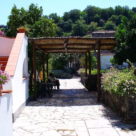 Hotel La Marticana Искья Экстерьер фото