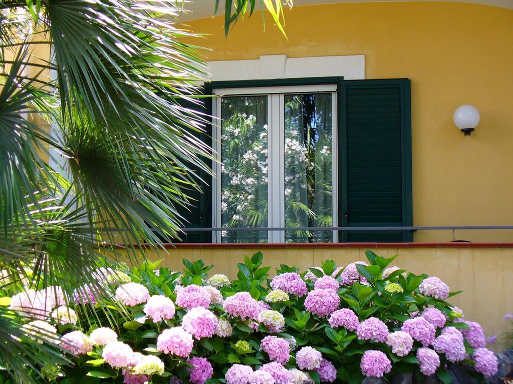 Hotel La Marticana Искья Экстерьер фото