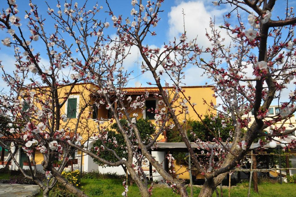 Hotel La Marticana Искья Экстерьер фото