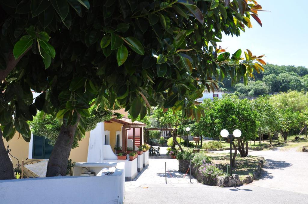 Hotel La Marticana Искья Экстерьер фото